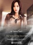 The Wife Of The Wealthy Family Is Fierce And Cute. - Official Chinese Webnovel Cover By Author 'Snowy Years'