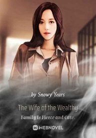 The Wife Of The Wealthy Family Is Fierce And Cute. - Official Chinese Webnovel Cover By Author 'Snowy Years'