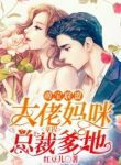 Tycoon Mommy And President Daddy - Official Chinese Webnovel Cover By Author 'Hong Dou Er'