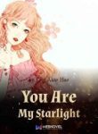 You Are My Starlight - Official Chinese Webnovel Cover By Author 'Ling Xiao Huo'